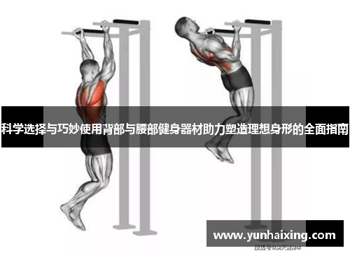 科学选择与巧妙使用背部与腰部健身器材助力塑造理想身形的全面指南